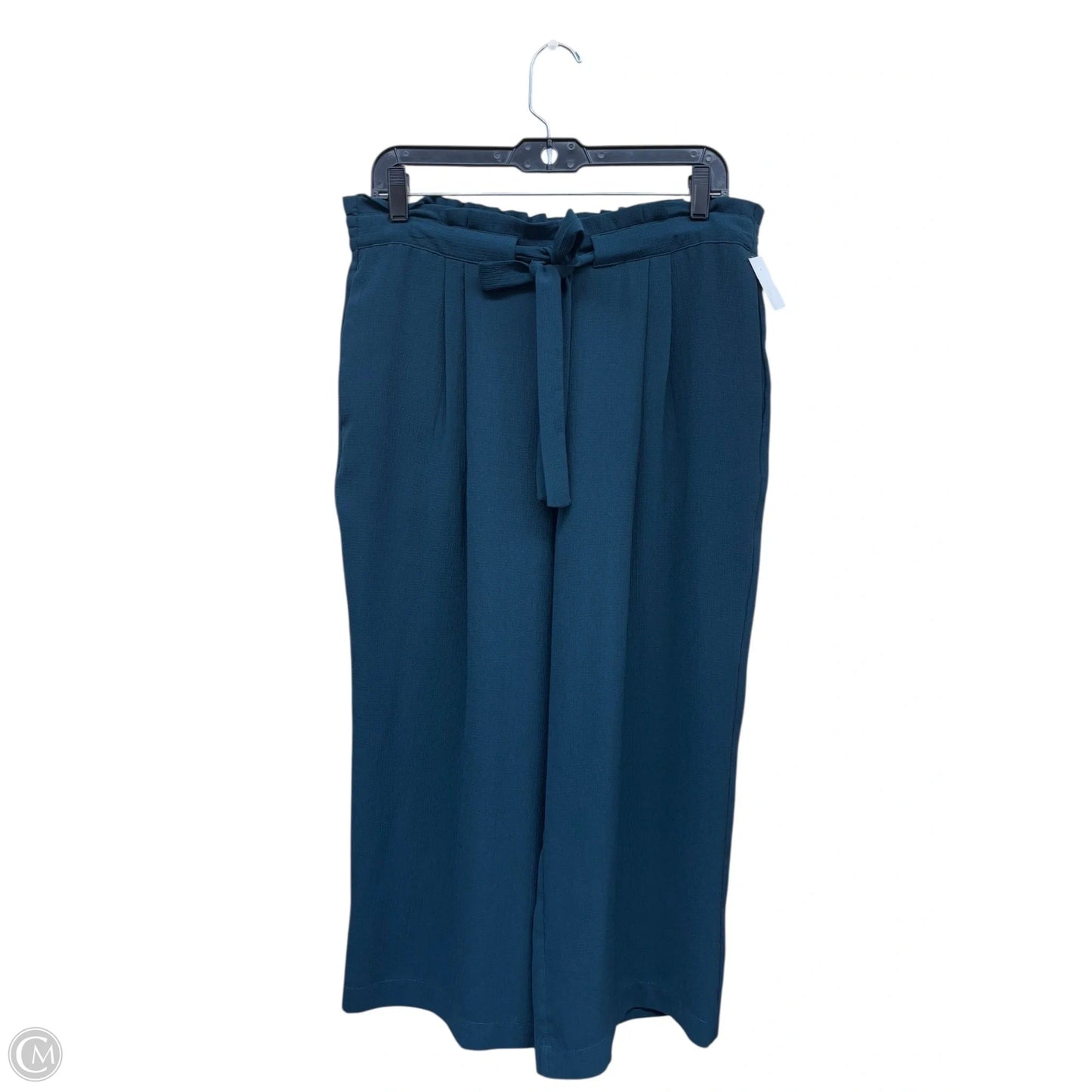 Pants Other By Dr2 In Blue, Size: L
