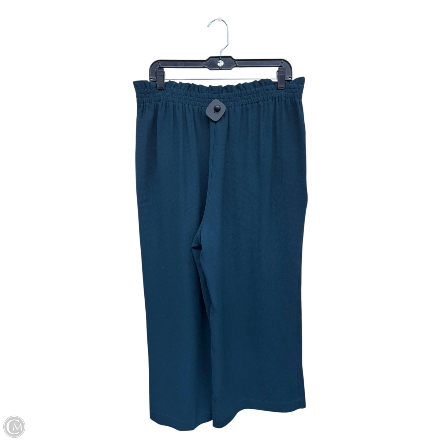 Pants Other By Dr2 In Blue, Size: L