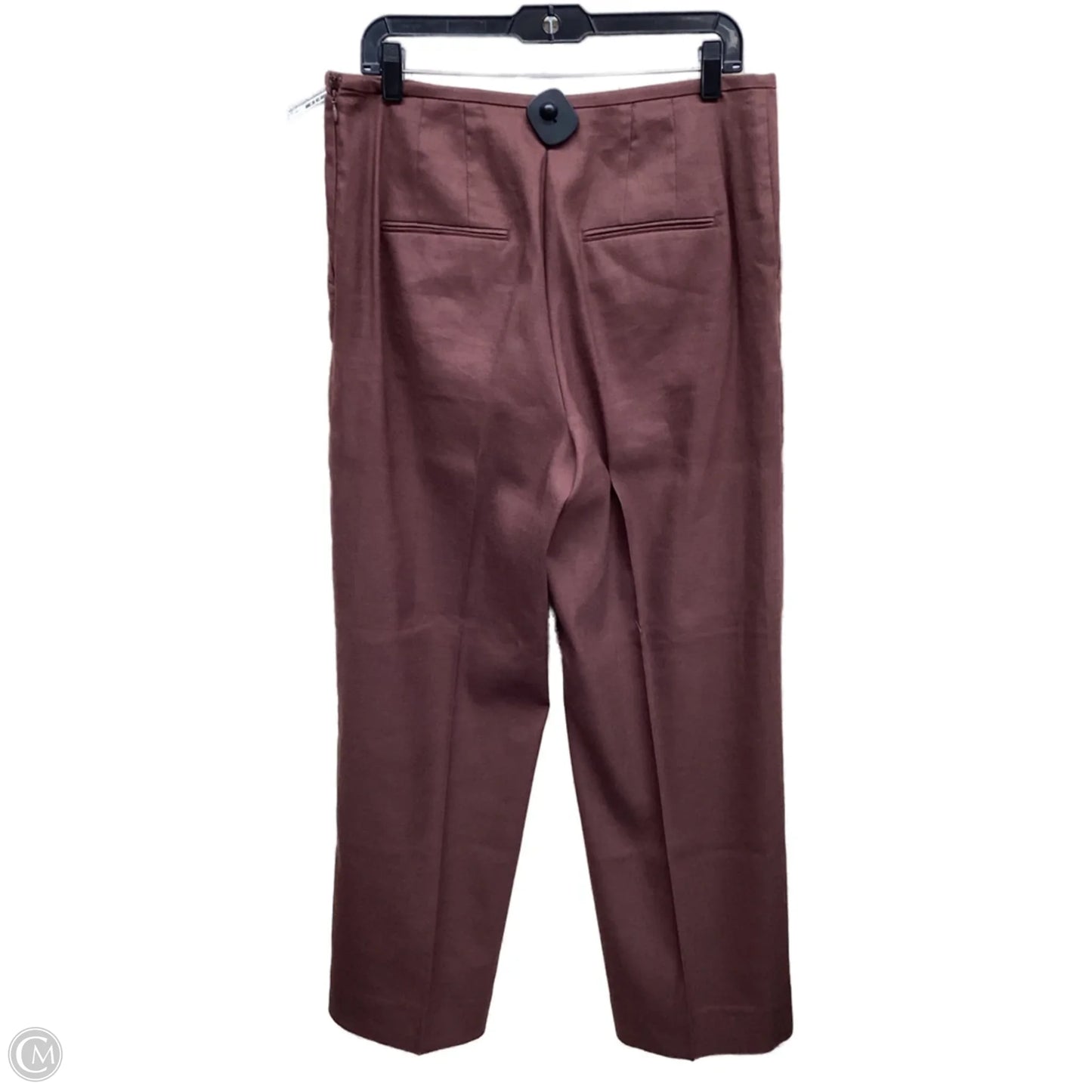Pants Other By Ann Taylor In Brown, Size: 10
