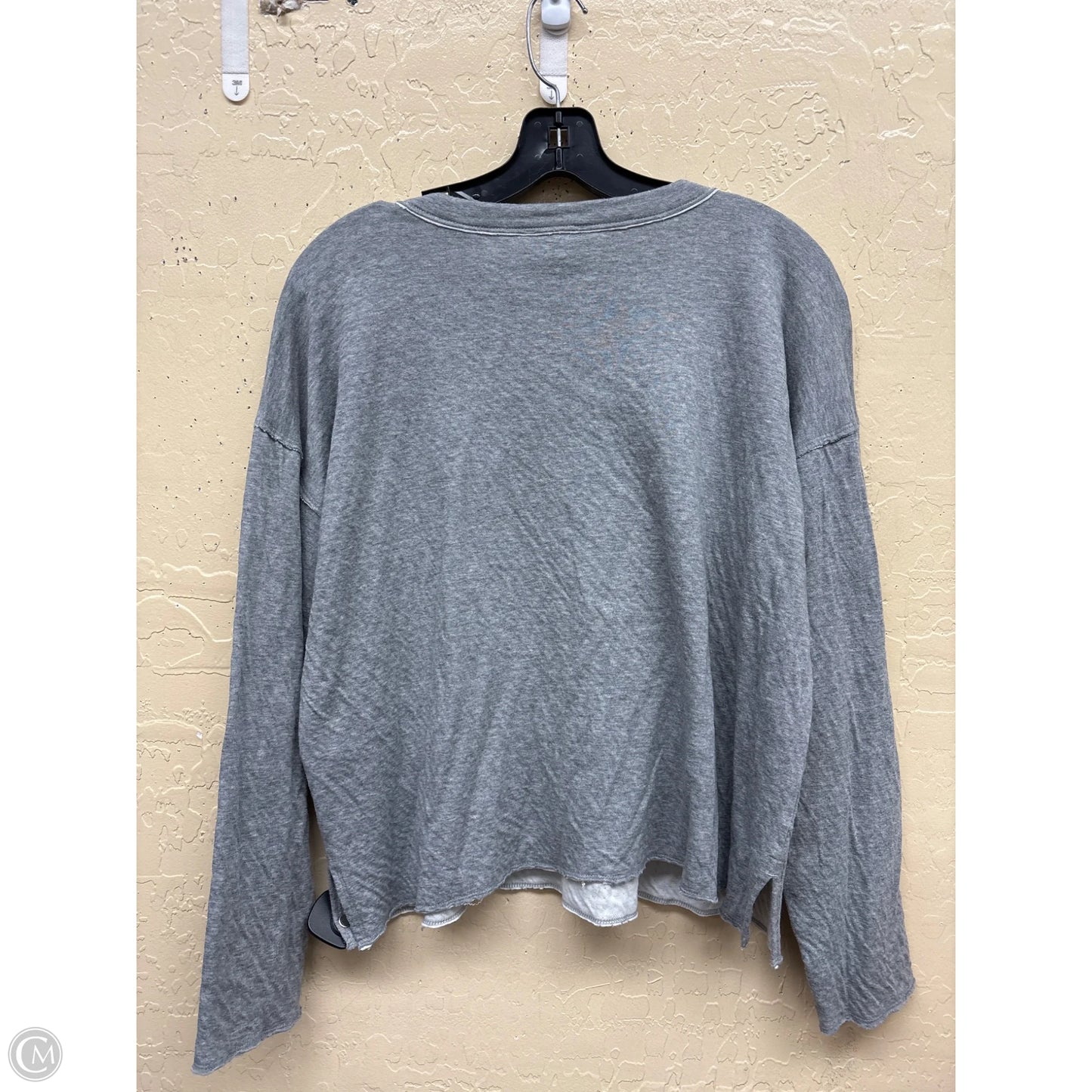 Top Long Sleeve By Eileen Fisher In Grey, Size: S