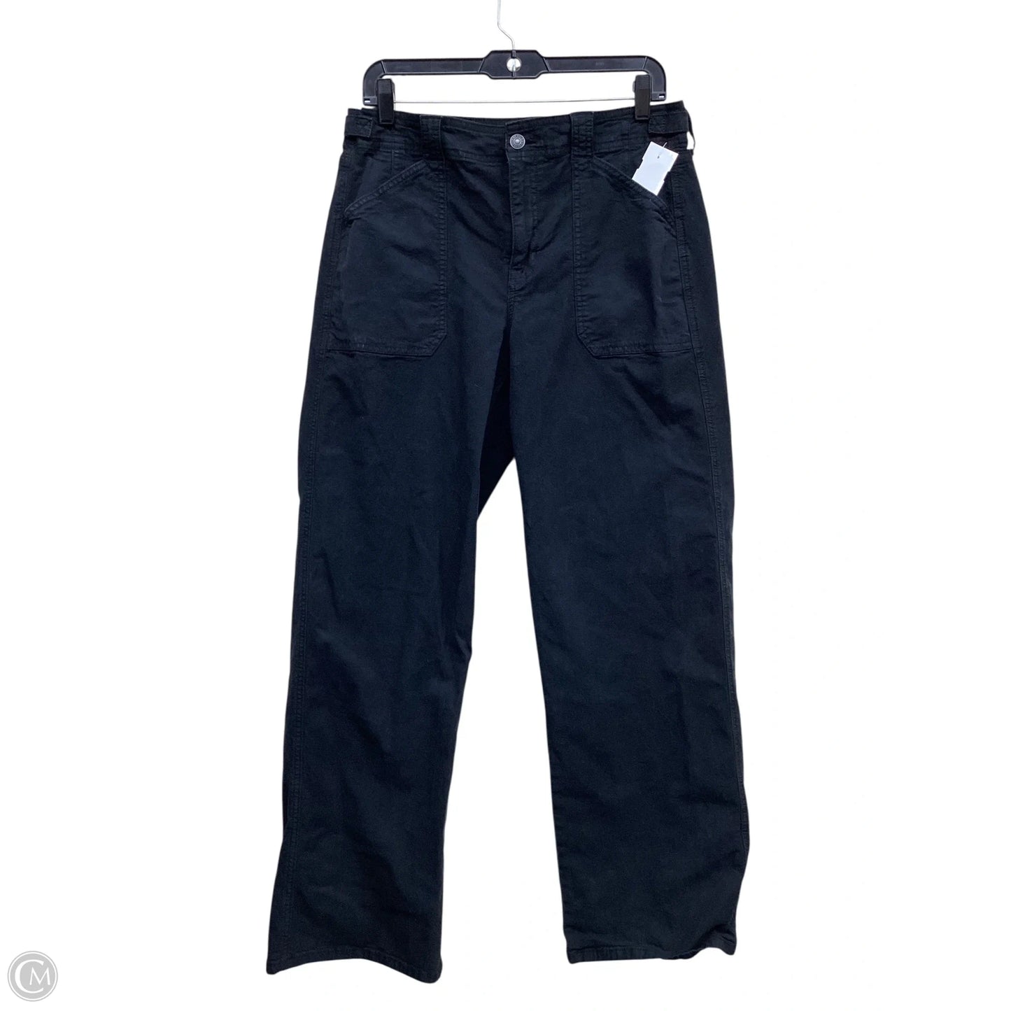 Pants Cargo & Utility By American Eagle In Black, Size: 10l