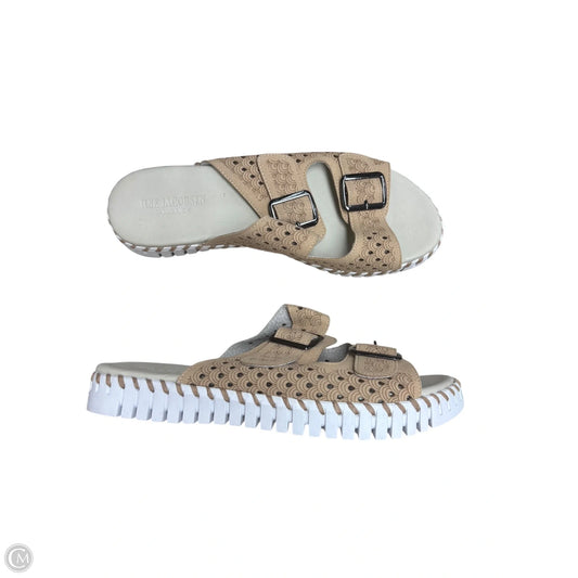 Sandals Flats By Clothes Mentor In Tan, Size: 8.5