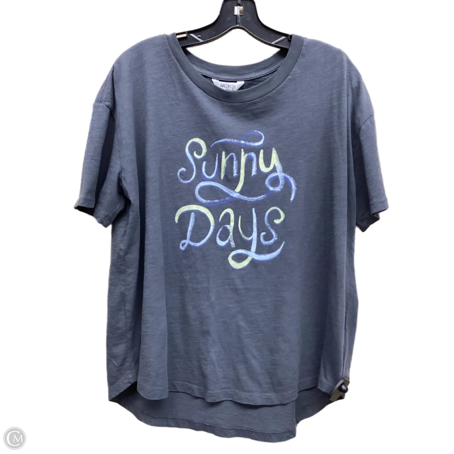 Top Short Sleeve By Wildfox In Grey, Size: L