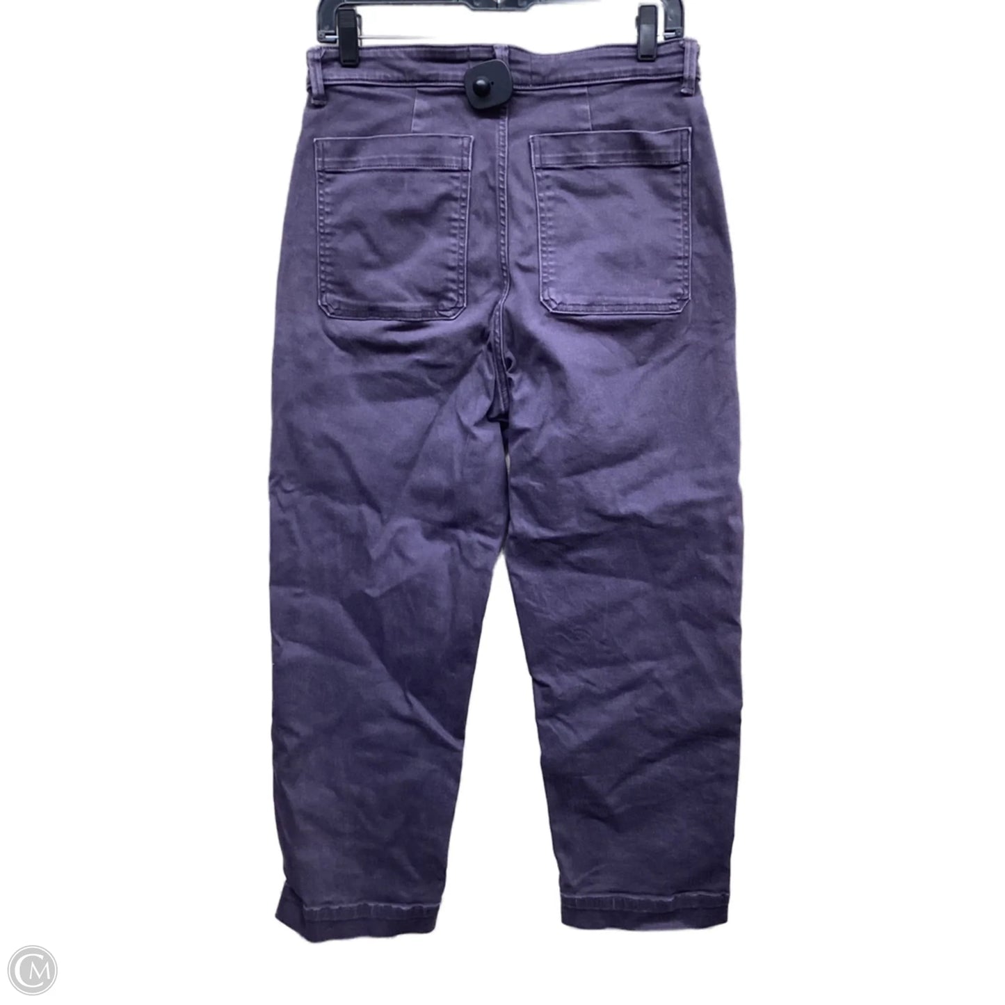 Pants Chinos & Khakis By Everlane In Purple Denim, Size: 8