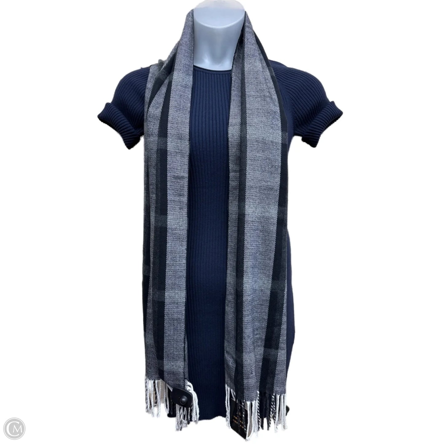 Scarf Long By Clothes Mentor