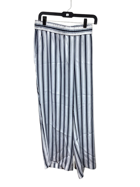 Pants Other By Loft  Size: L