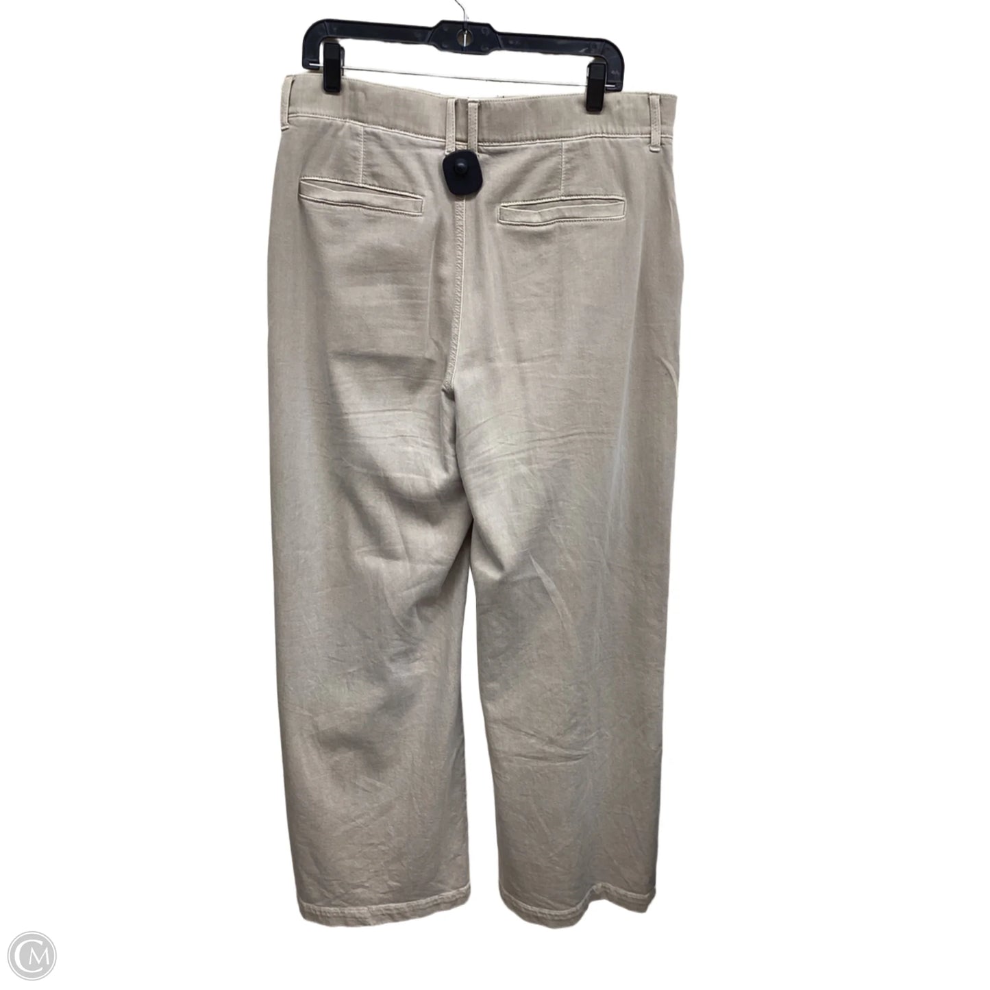 Pants Other By American Eagle In Tan, Size: 12