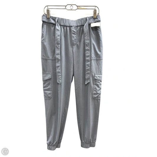 Pants Other By Banana Republic In Navy, Size: S