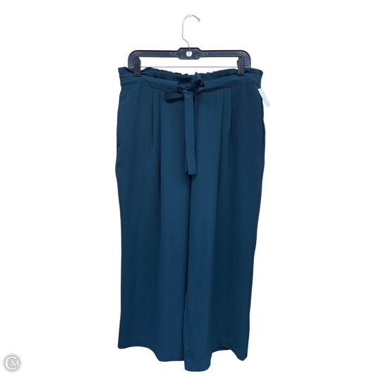 Pants Other By Dr2 In Blue, Size: L