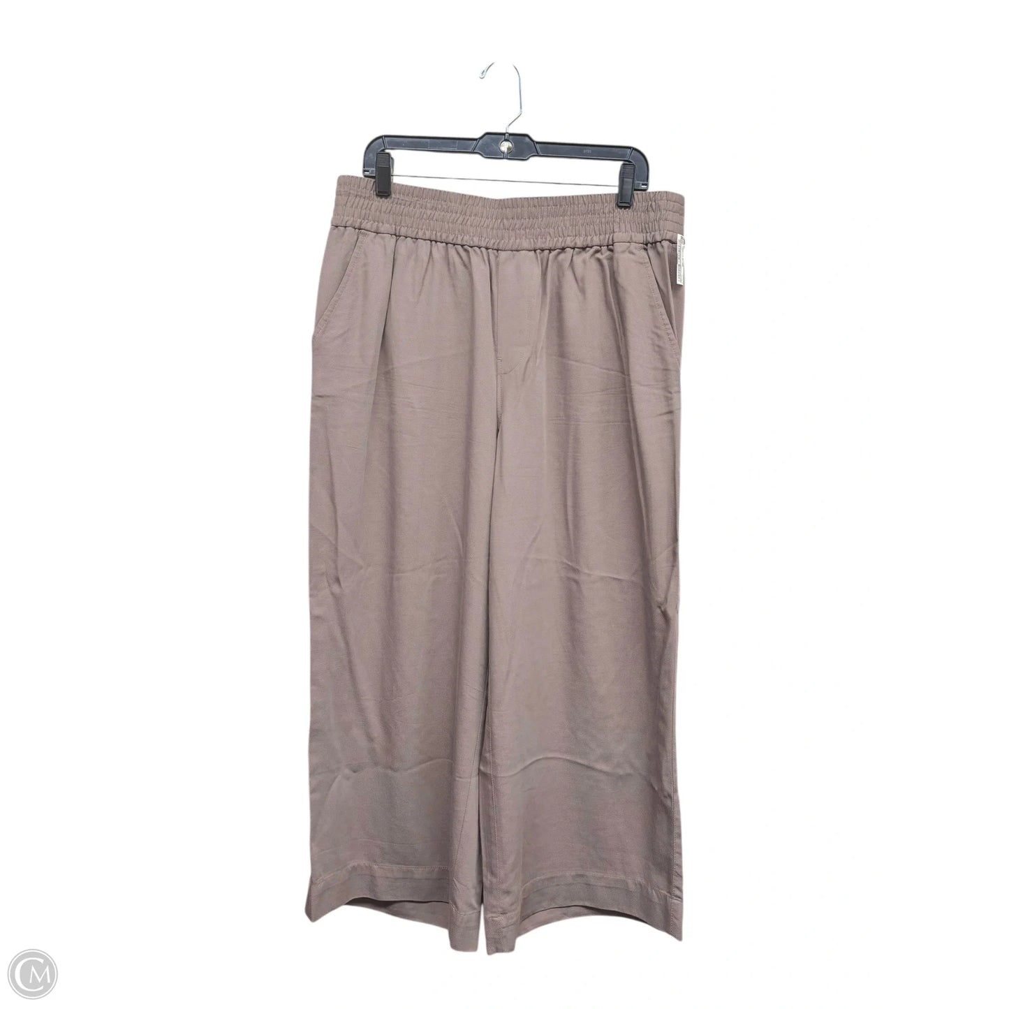 Pants Other By Madewell In Brown, Size: Xl
