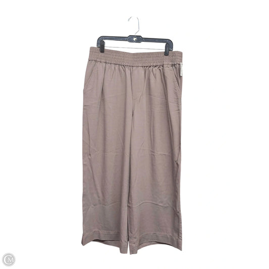 Pants Other By Madewell In Brown, Size: Xl