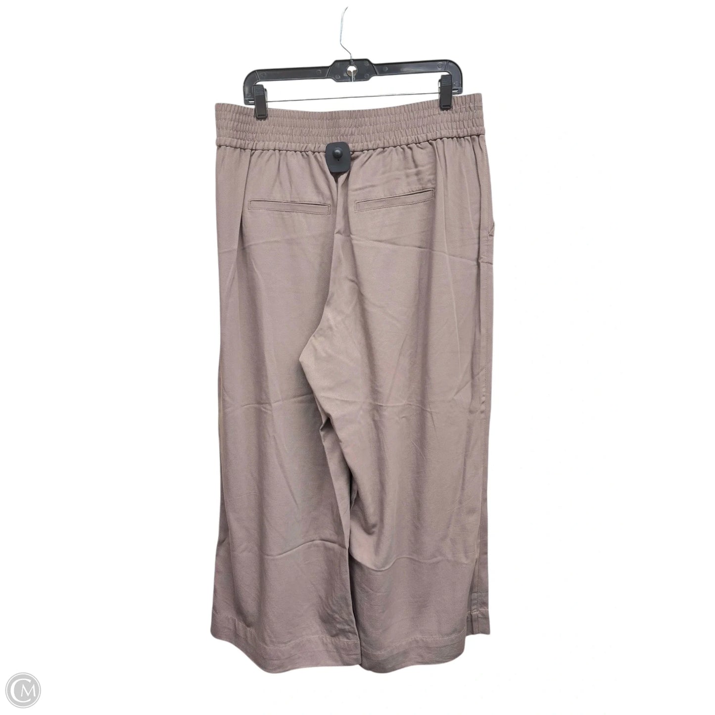 Pants Other By Madewell In Brown, Size: Xl