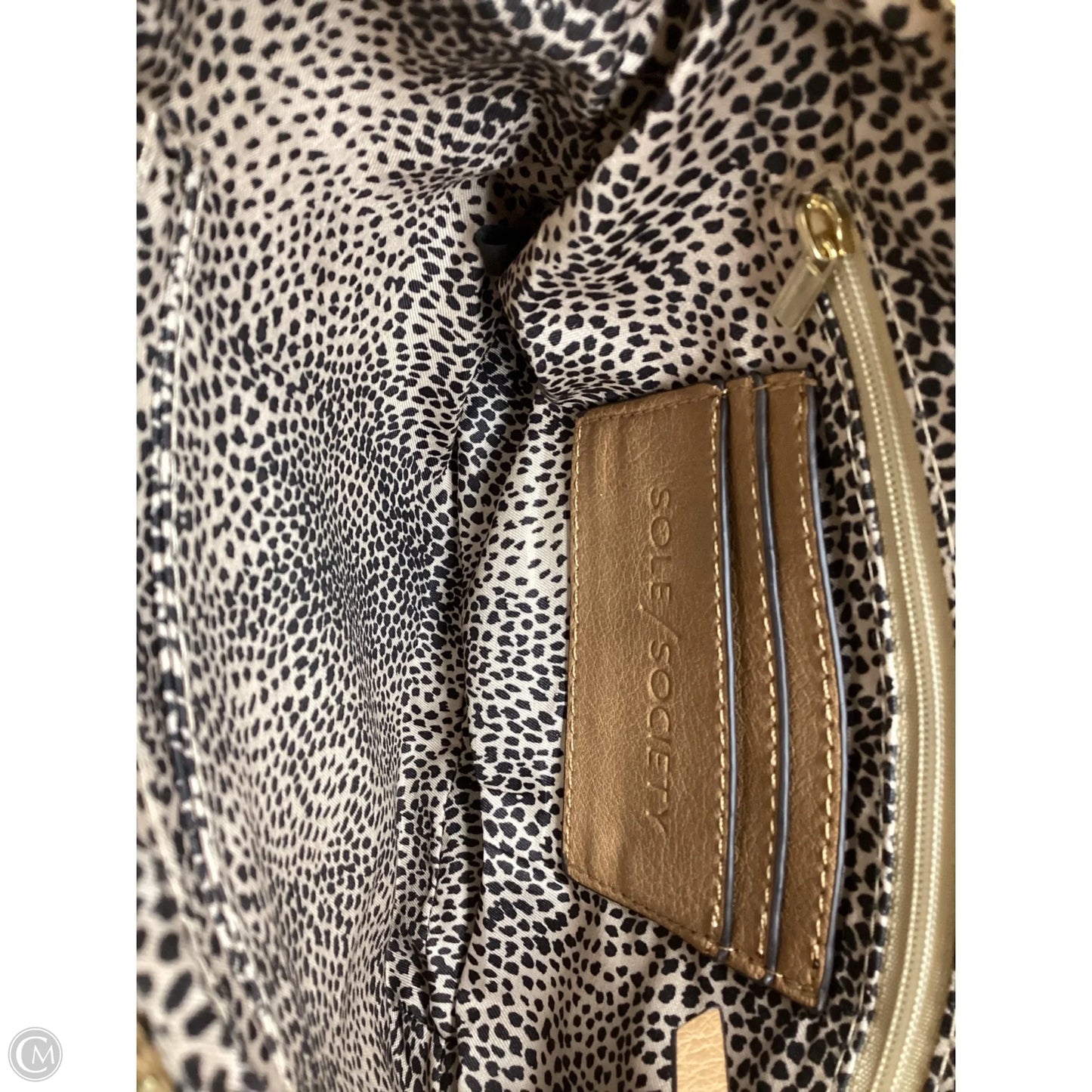 Crossbody By Sole Society, Size: Small