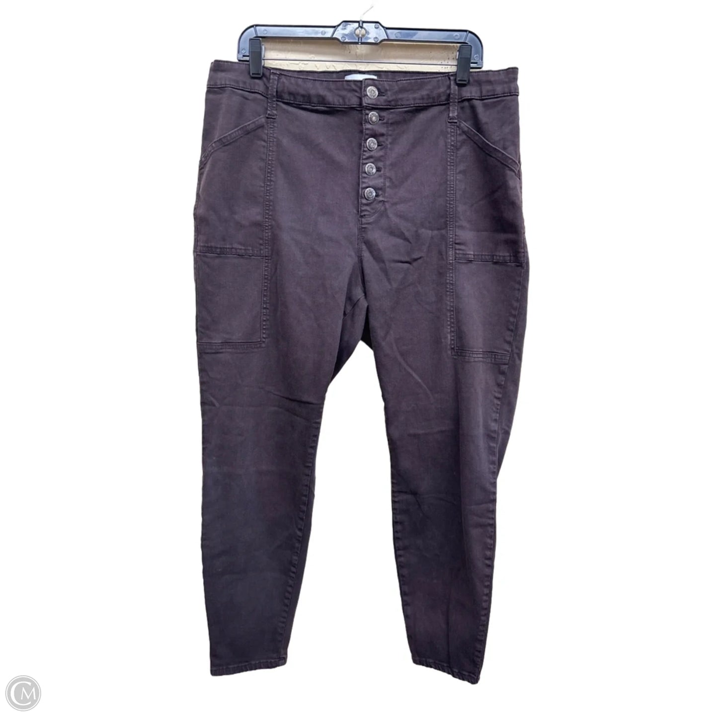 Jeans Skinny By Pistola In Purple Denim, Size: 18